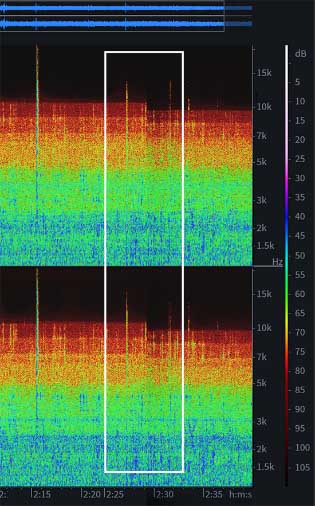 Frequency Spectrum Comparison image